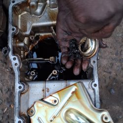 WhatsApp Image 2024-09-12 at 22.03.18 (1)